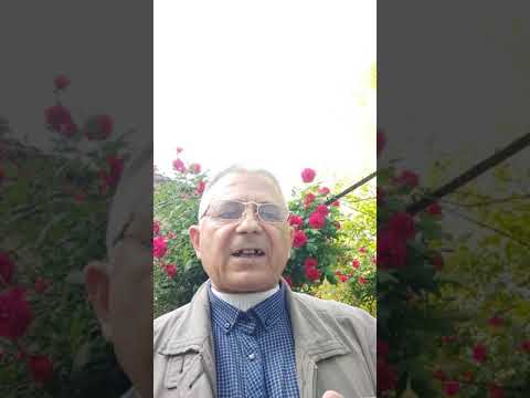 Видео: Правильные приемы забора воздуха