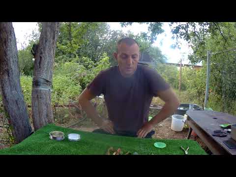 Видео: Джиг для начинающих.