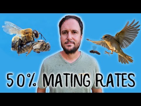 Видео: 50% спаривания и финальный тест Cloake/QL Starter Cell Builder