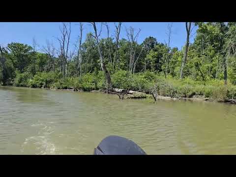 Видео: Лето прощай - Goodbye summer