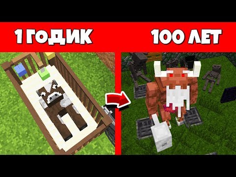 Видео: КАК МИНОТАВР МУТАНТ ПРОЖИЛ ЖИЗНЬ В МАЙНКРАФТ / ЭВОЛЮЦИЯ МОБОВ MINECRAFT ЖИЗНЬ МОБОВ И ЖИЗНЕННЫЙ ЦИКЛ