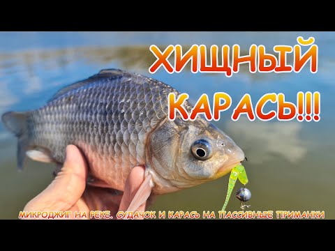 Видео: С микроджигом на реку! Карась на пассивные приманки!