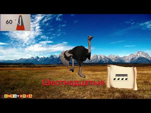 Видео: КАК РАЗВИТЬ ЧУВСТВО РИТМА