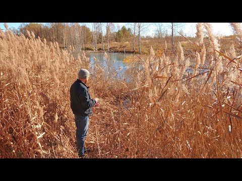 Видео: Рыбалка-разведка по щучьим местам. Октябрь 2024.