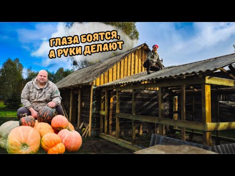 Видео: 🍁НАС НЕ ОСТАНОВИТЬ!🫣💪🫣 Осенняя стройка, когда все ждут зиму❄️ ВЫПУСК 43