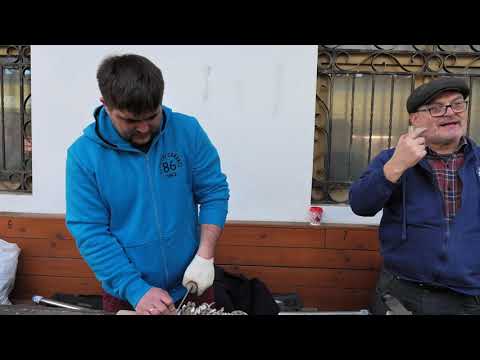 Видео: 10  Р Королёв QPM 53