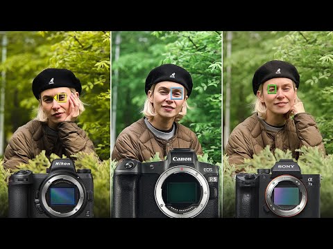 Видео: Nikon vs Canon vs Sony – Какую Камеру Купить Начинающему Фотографу?