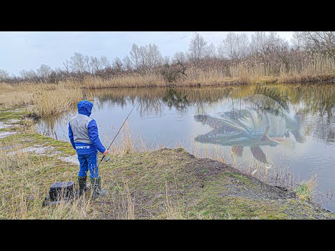 Видео: ЯК ЛОВИТИ ХИЖАКА в холодну пору року. Спінінгова ловля щука, окунь.