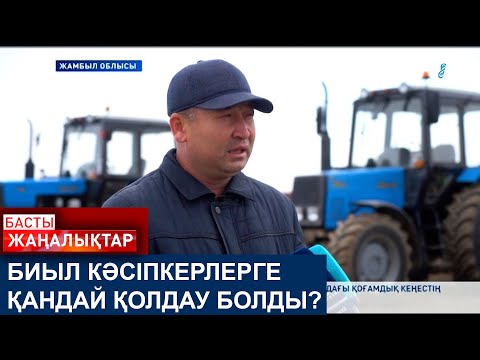 Видео: БИЫЛ КӘСІПКЕРЛЕРГЕ ҚАНДАЙ ҚОЛДАУ БОЛДЫ?