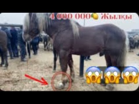 Видео: Сарыағаш мал базар казіргі бағалармен салыстырып көріңіздер 2023-2022