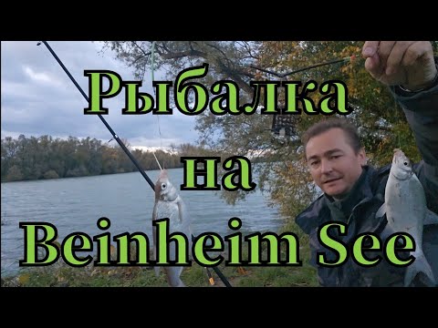 Видео: Активная рыбалка 🎣 на Bahnheim See клюнул лещ и плотва #рыбалка #angeln #fishing #pêche #лещ #see