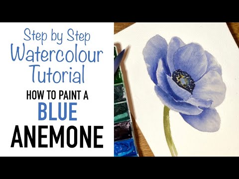 Видео: Урок акварели: как нарисовать анемон