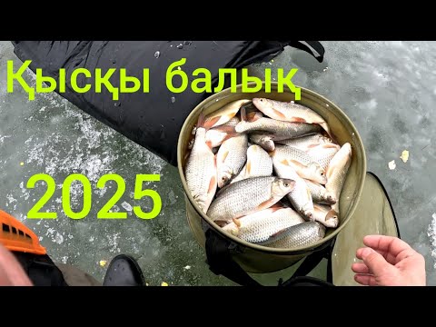 Видео: Қысқы балық 2025