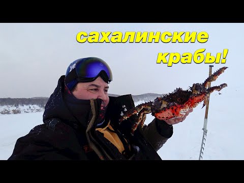 Видео: Как ловить крабов? Сахалинская крабалка