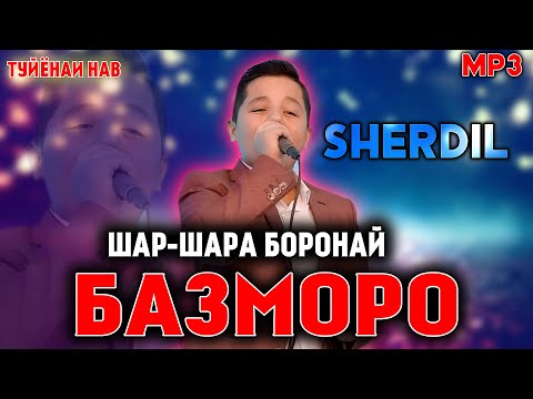 Видео: Шердил -  Шар Шара Боронай (Базморо 2020)