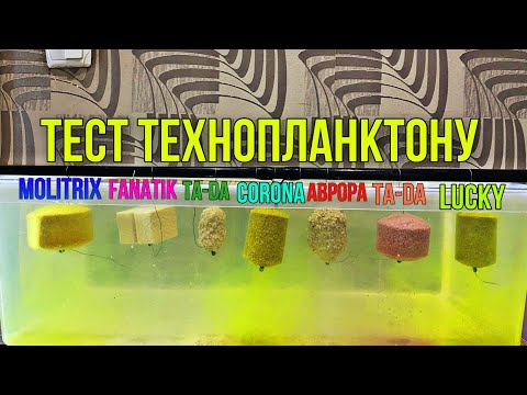 Видео: Тестуємо Технопланктон Товстолоб. Molitrix, Fanatik, Corona, Автора,