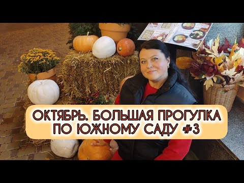 Видео: Октябрь. Большая прогулка по Южному саду #3 