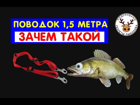 Видео: ЗИМНЯЯ УДОЧКА, КОТОРОЙ НУЖЕН ПОВОДОК В 1,5 МЕТРА 🔥 ЗАЧЕМ СУДАКУ ТАКОЙ ПОВОДОК ???