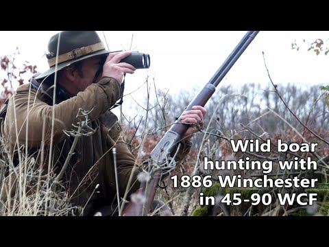 Видео: Охота на кабана с оригинальной винтовкой Winchester 45-90 WCF 1886 года