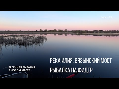 Видео: Река Илия. Вязынский мост. Рыбалка на фидер