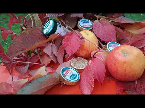 Видео: ТИХАЯ ИСТЕРИКА: ЗВЕЗДУЛЯ ПОКАЖИ ЛИЧИКО(7)