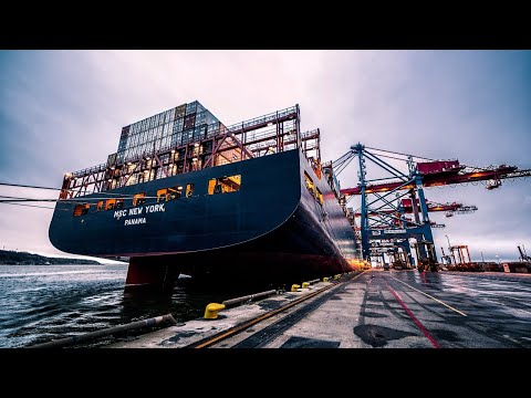 Видео: Нервы на пределе. Разгрузка в порту Лос-Анджелеса