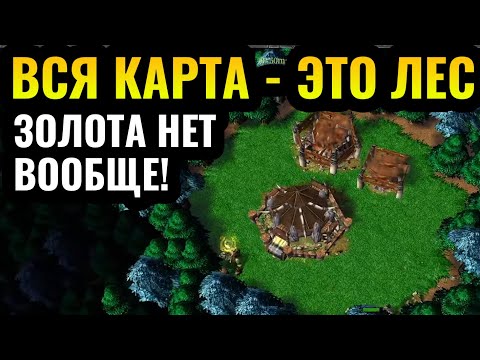 Видео: Всё стоит ТОЛЬКО ДЕРЕВО: Вся карта - это ЛЕС! Безумная карта в Warcraft 3 Reforged