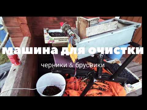 Видео: Как очистить ягоду, веялка для ягоды