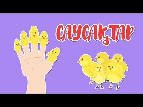 Видео: САУСАҚТАР | Bilimland Kids