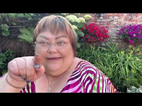 Видео: ПЛЕТИСТЫЕ РОЗЫ. ЧЕРЕНКОВАНИЕ. ЧАСТЬ 1