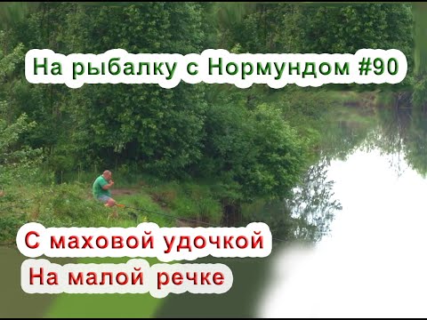 Видео: С МАХом на малой реке. На рыбалку с Нормундом #90