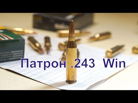 Видео: Патрон .243 Win