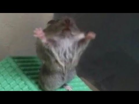 Видео: Что в пространстве