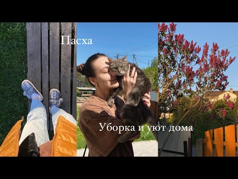Видео: Встречаю Пасху, навожу порядок дома и создаю уют