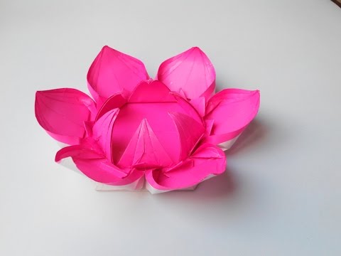 Видео: Цветок 14 (Алексей Жигулёв), Flower 14