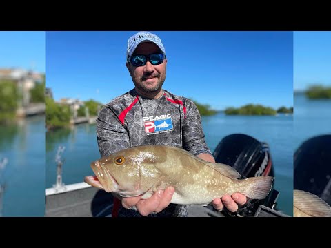 Видео: Рыбалка в Флорида Кей : Ловим и готовим : Часть 1