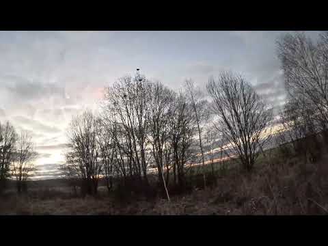 Видео: 19.10 2025 Охота на тетерева с чучелами. 