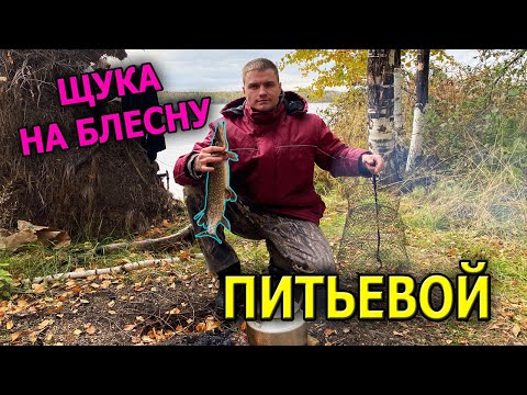 Видео: Первая рыбалка на хищника в Рефтинском. Питьевой. Рефтинское водохранилище.