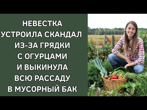 Видео: Невестка устроила скандал из-за грядки с огурцами и выкинула всю рассаду в мусорный бак. Истории