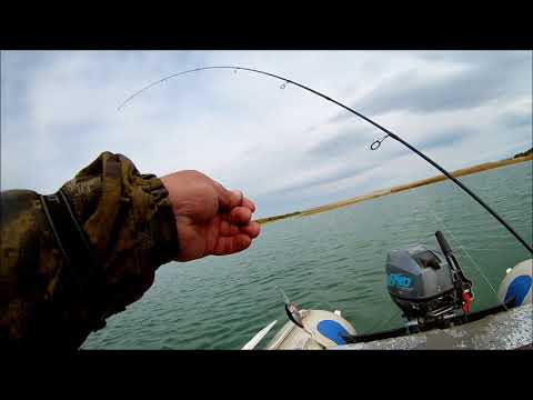 Видео: Озеро Сосновое 27.09.2019. Окуни гиганты!