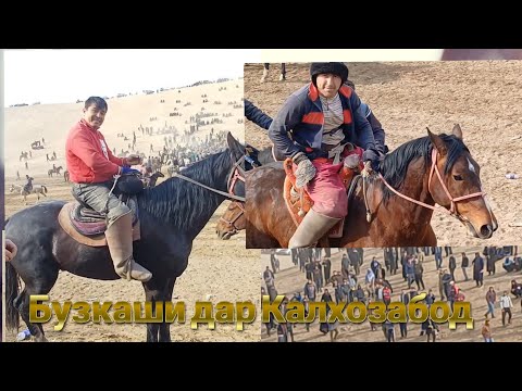 Видео: Бузкаши Калхозабод дехаие  Тошробод