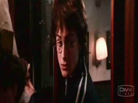 Видео: Гарри Поттер - Бум сеньорита