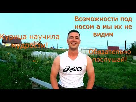 Видео: Курица научила меня одной мудрости! Нужно захотеть развиваться и тогда ты получишь возможности!