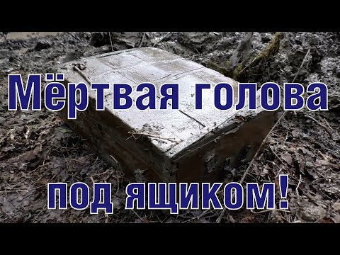 Видео: Блиндаж с мёртвой головой Dead head German bunker ENG SUBs