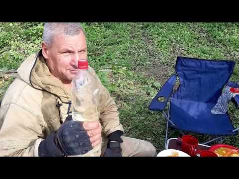 Видео: РЫБАЛКА НА ОБИ.часть 1. ТАРАДАНОВО. АВГУСТ 2022