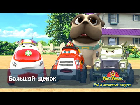 Видео: Рэй и пожарный патруль. Команда ВиВилз - Серия 23.Большой щенок - Мультфильм