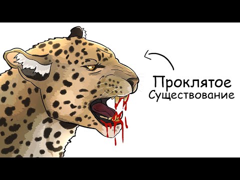 Видео: Ты – Леопард (И ЭТО ВСЯ ТВОЯ ЖИЗНЬ)