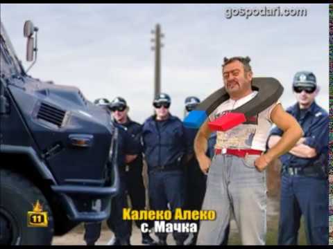 Видео: Калеко Алеко мачка битовата престъпност