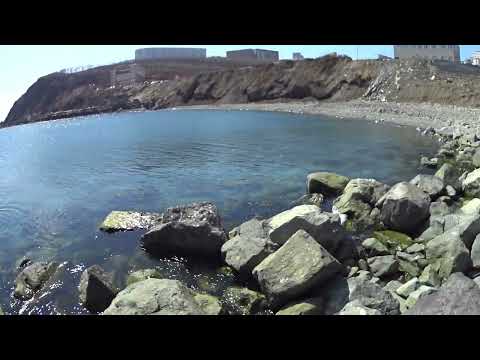 Видео: ВЛАДИВОСТОК. Двадцать корабликов на горизонте. Бухта Тихая. Японское море. Погода СУПЕР. Апрель 2022