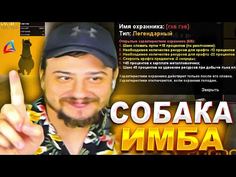 Видео: КАК ОХРАННИК "СОБАКА" ЗАРАБОТАЛА МАРАСУ ШАКУРУ 200 МЛРД... (нарезка) | MARAS SHAKUR | GTA SAMP
